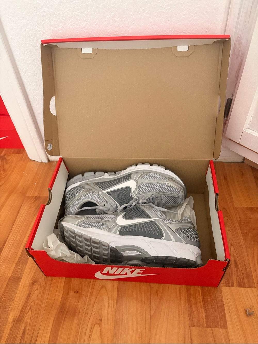 Nike Women’s Silver and Gray Mesh Sneakers